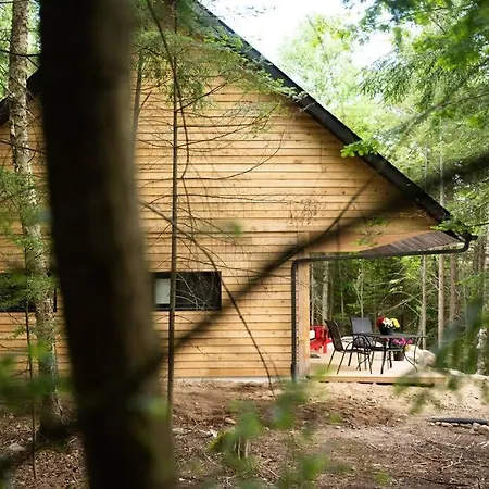 Private Off Grid Cottage Nestled In Nature With Waterfront Barrys Bay Exterior photo