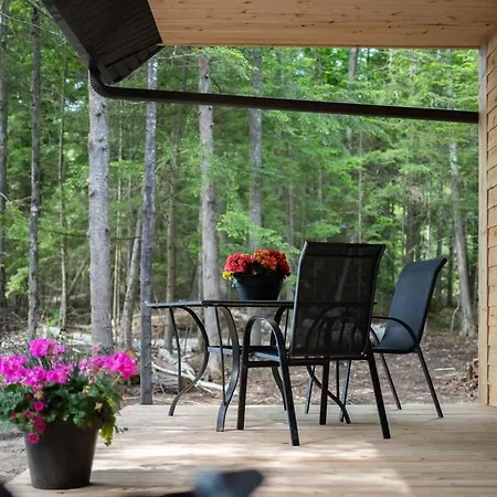 Private Off Grid Cottage Nestled In Nature With Waterfront Barrys Bay Exterior photo
