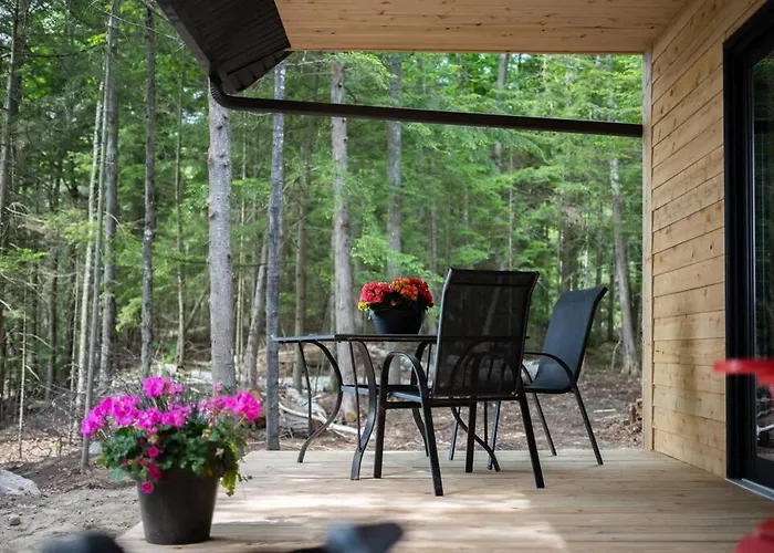 Private Off Grid Cottage Nestled In Nature With Waterfront