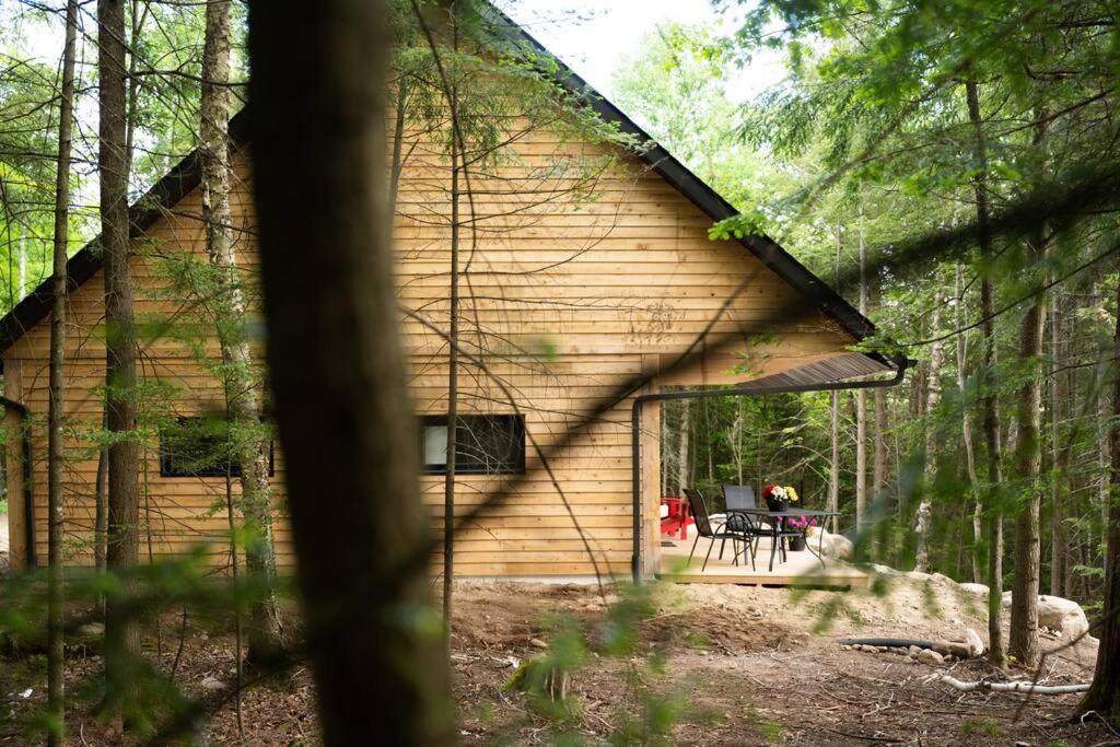 Private Off Grid Nestled In Nature With Waterfront *