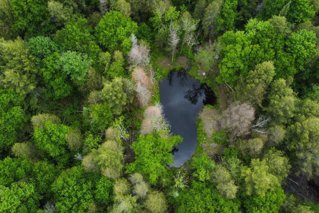 Private Off Grid Nestled In Nature With Waterfront *