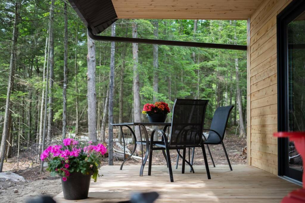Private Off Grid Nestled In Nature With Waterfront * Barrys Bay