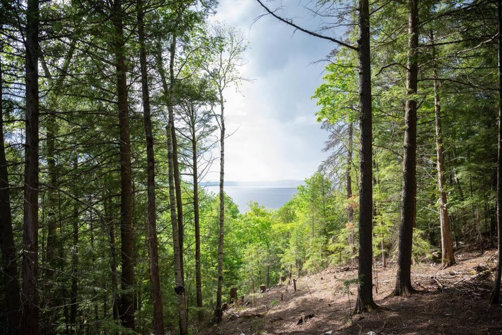Private Off Grid Nestled In Nature With Waterfront *